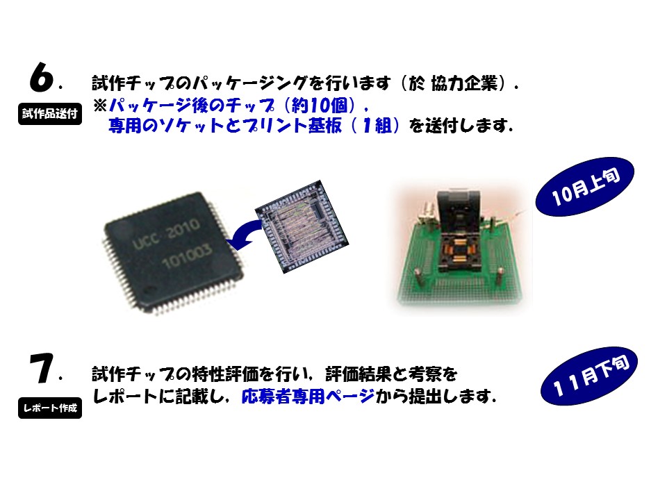 コンテスト全体の流れ